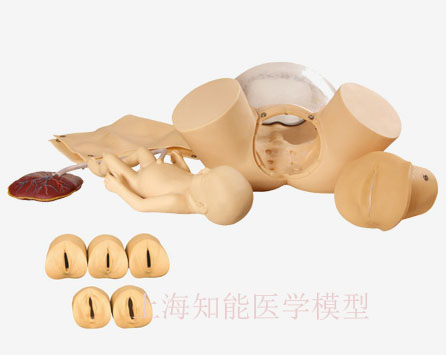 助產訓練模型的發展