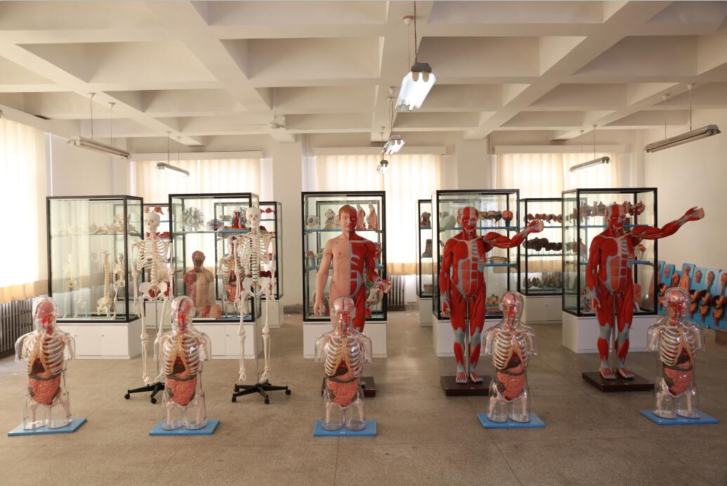 知能醫學模型展廳 知能醫學模型展廳