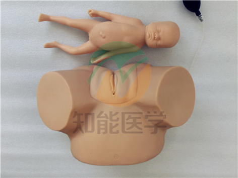 高級難產(chǎn)示教訓(xùn)練模型實拍圖 高級難產(chǎn)示教訓(xùn)練模型實拍圖