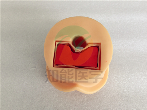 實拍圖4 實拍圖4