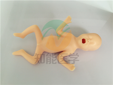 1494902579591087.jpg IMG_2891.jpg