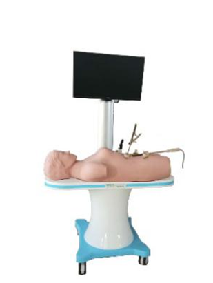 知能醫學腹腔鏡手術技能訓練人體模型