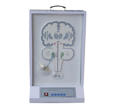 平衡感傳導(dǎo)電動模型