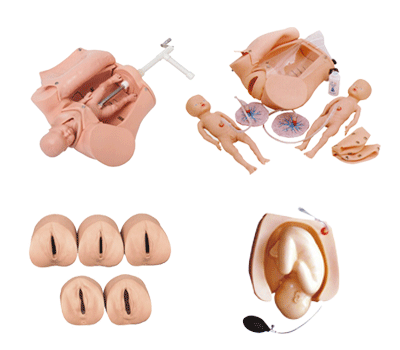 高級腹部觸診、分娩機(jī)轉(zhuǎn)綜合模型